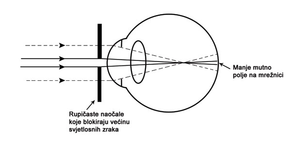 rupicaste-naocale